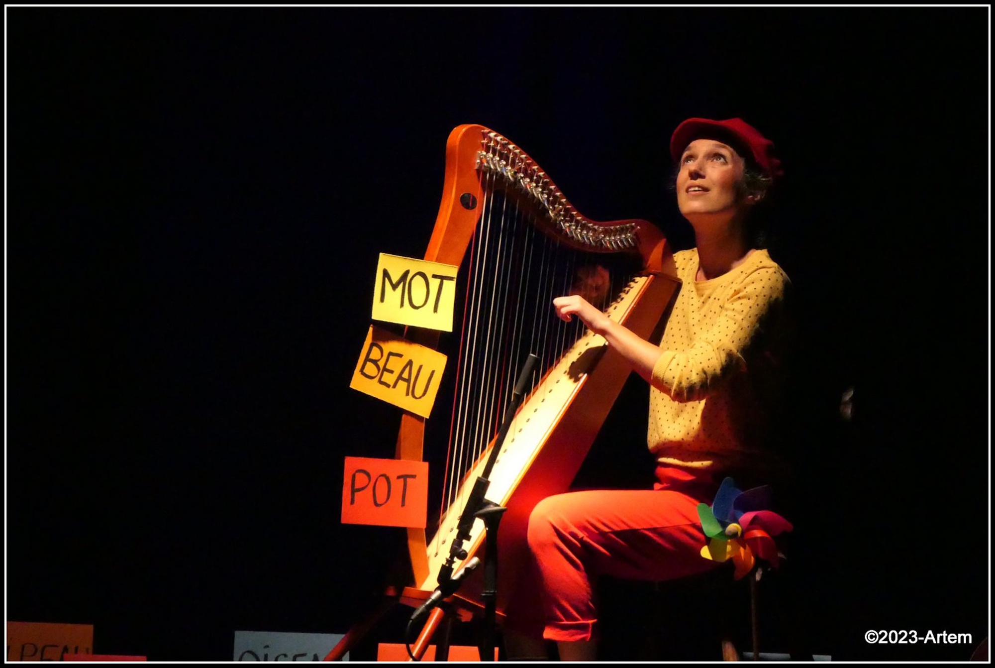 Les mots enchantés d’Anne Sylvestre